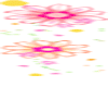 *N* Pink Animated Flower
