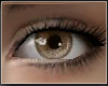[H] Visual brown eyes