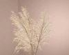 "SAV" PAMPAS IN VASE