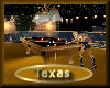 [my]Texas Pool Table