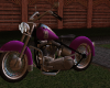 Her Purple Passion Bike