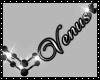 ❣Belly Chain ||Venus