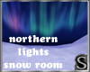 Snow northern ligts