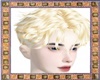 Blond Hairstyle