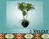 V:  Vivid Cozy Plant