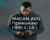MACAN AVG - Privykayu