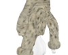 Lavish Fur V1 1/2