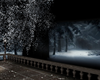 WINTER TERRACE