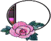 (O) Rose Purple *RR*