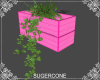 [SC] Wall Plant ~ Pink