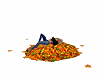 Autumn Leaves Pile