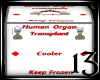 13 Transplant Cooler