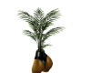 Gold Bottom Floor Plant