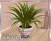 [kk] Imagine Plant