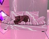 Pink Cuddle Tiger Couch