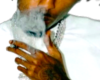 YB CO