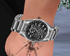 ✈ Platinum Watch
