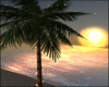 SauDaDe Light Palm Tree