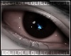 お. nocturnal II [DRV]