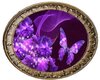 Purple Butterflys framed