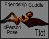 Friendship Cuddle Pillow
