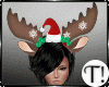 T! Reindeer Santa Hat F