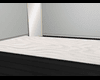 ZD: Cream Rug