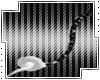 Tahni Tail 1