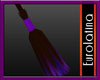*EL*Purple_broom
