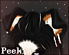 ❖ Bernese Ear V1 Pink