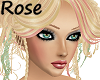 Rose/Mint Updo-No Flower