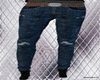 LxB Stylo Jeans v3