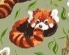 red panda chair