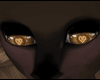Quillo Eyes