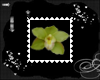 Flower stamp 2