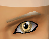 [IB]GoldPearl Eyebrows