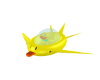 The Duck ship +