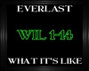 Everlast~What It's Lke
