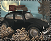 Black Autumn Vintage Car