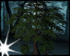 ! forest plants