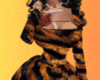 Tiger Dress