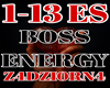 ENERGIA SZEFOWEJ