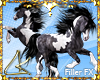 LK* Equine Beauty Horse