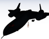 blackbird
