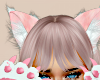 🐱❥MeoW Kitty Ears