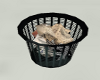 waste paper basket