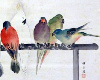 japanese painting- birds