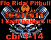 Flo Rida-Pitbull cbi
