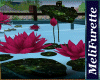 ~*Animated Pink lotus