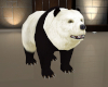 (S)Panda bear